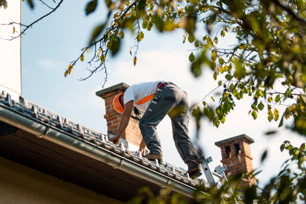 Best Chimney Flashing Repair  in Cordele, GA